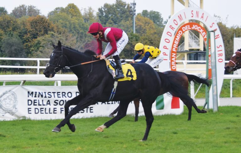 Ippodromo Snai San Siro, le corse domenicali: protagonista il Premio del Jockey Club S.i.r.e.