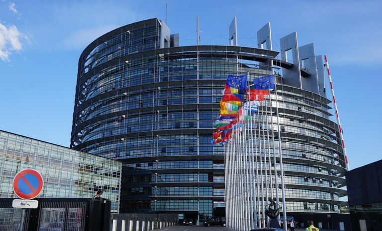 Tassa europea su gioco online, l’assist di Socialisti e Verdi